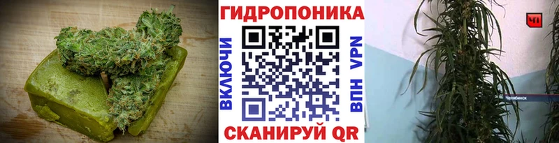 закладка  Лысьва  Canna-Cookies конопля 
