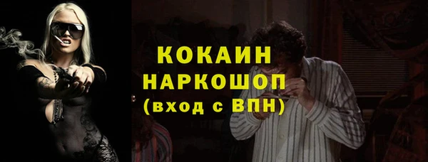 стафф Алзамай