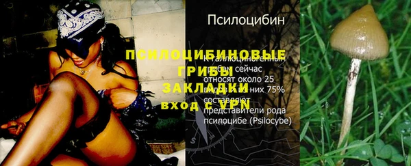 герыч Алексин