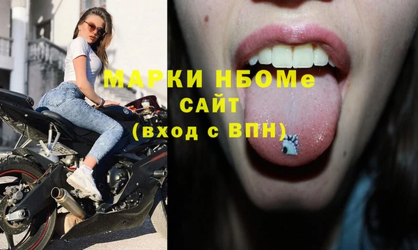 стафф Алзамай