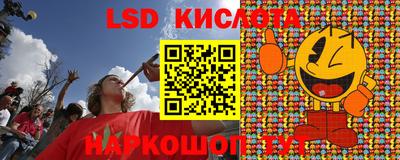 apvp Канаш