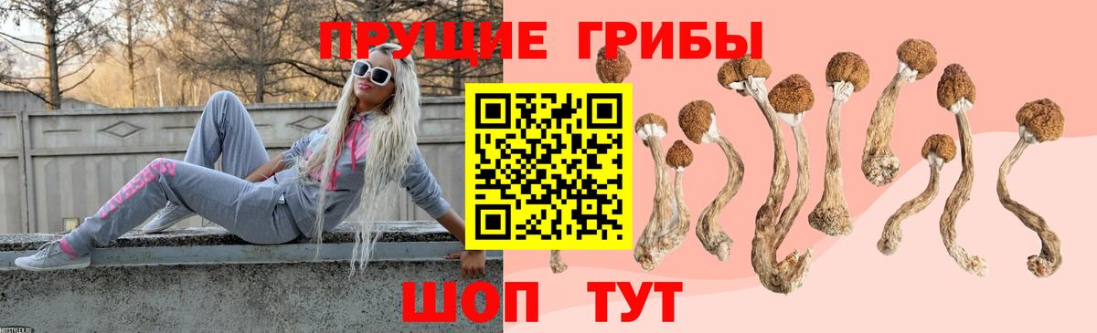 Галлюциногенные грибы мицелий  Вход с VPN  где можно купить наркотик  Лысьва 