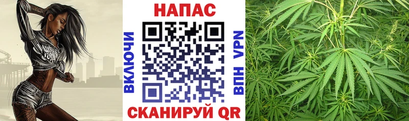 Бошки Шишки конопля Лысьва